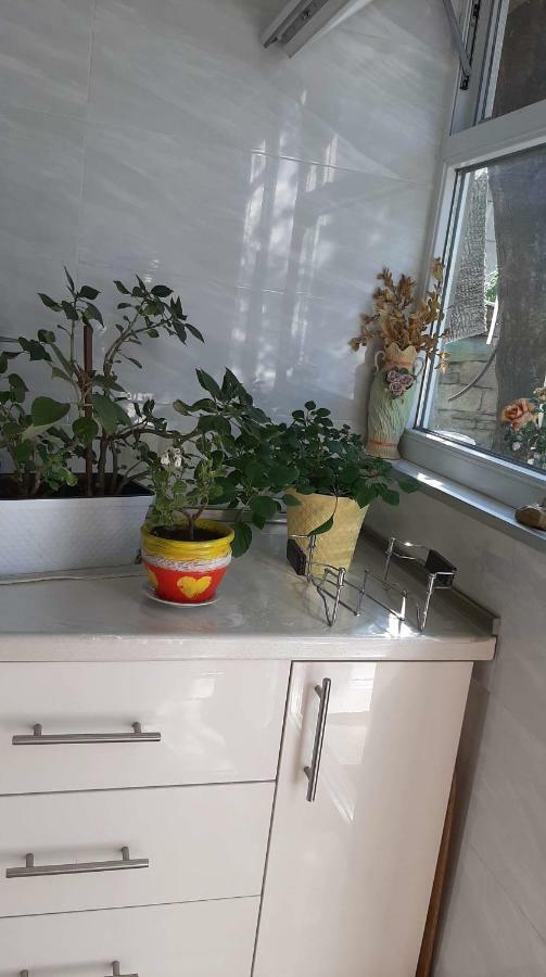 Newly Renovated House Apartman Tbiliszi Kültér fotó