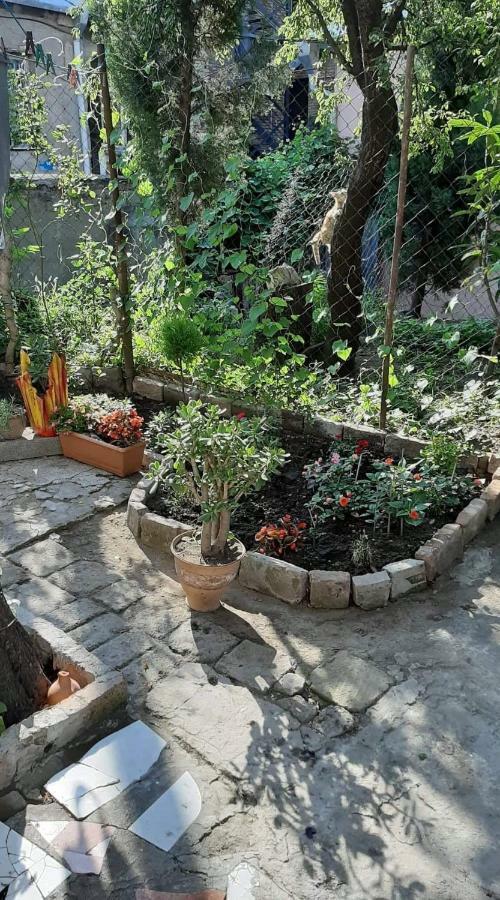 Newly Renovated House Apartman Tbiliszi Kültér fotó